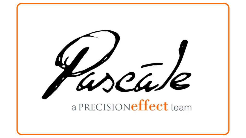 Pascale a PRECISIONeffect team
